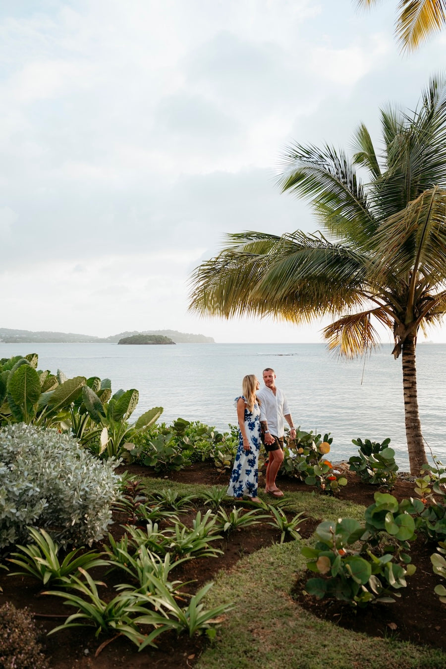 A couple holds hands by the ocean, framed by palm trees and tropical foliage