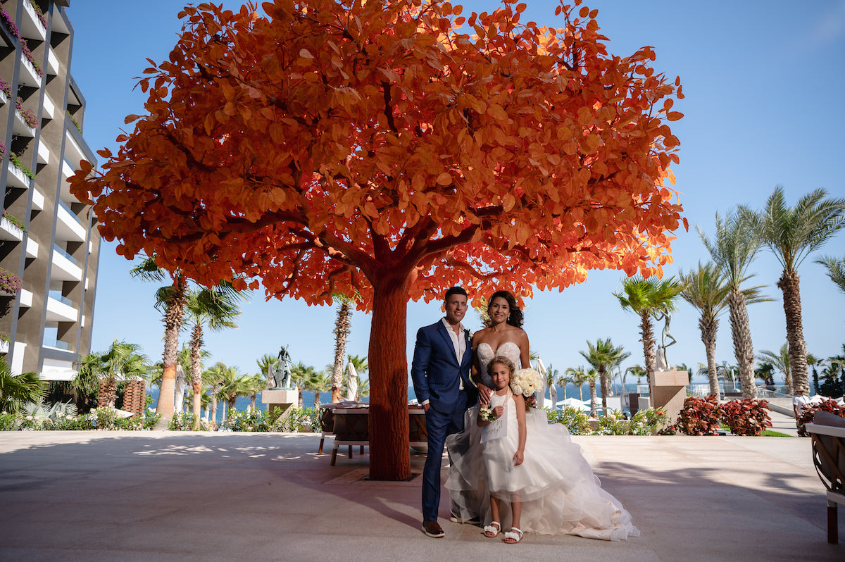 Orange tree at Garza Blanca Los cabos