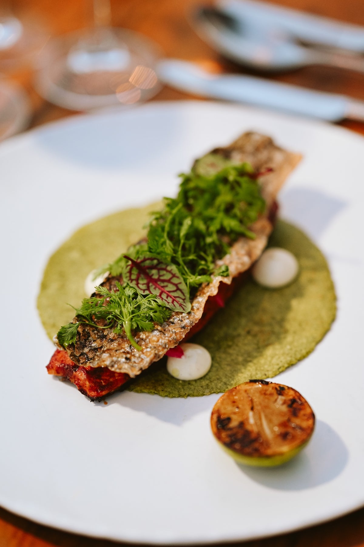 Grilled fish topped with fresh herbs on green sauce with charred lime at Viceroy Riviera Maya