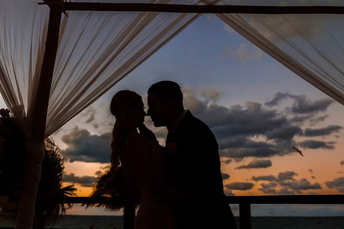 backlight photo picture